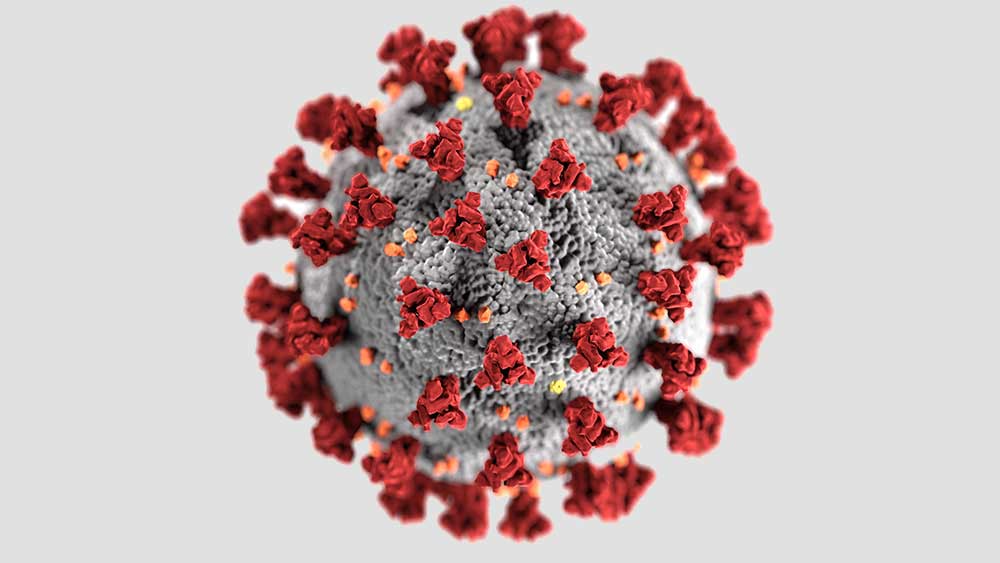 Coronavirus (COVID-19). Image credit: CDC/Alissa Eckert, MS; Dan Higgins, MAMS